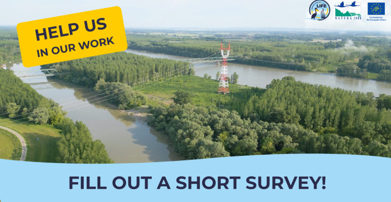 HELP US IN OUR WORK: FILL OUT A SHORT SURVEY!
